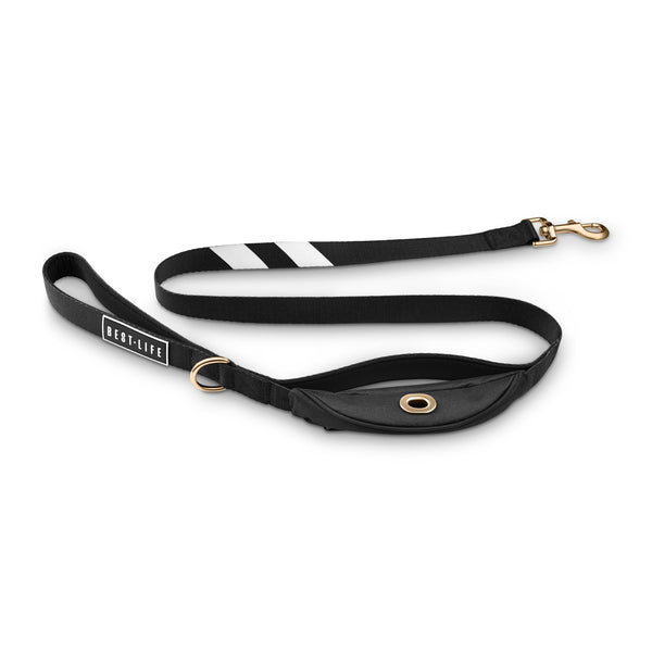 6 Things You'll Love About This Leash