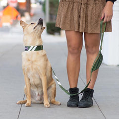 Awesome Olive - Martingale Collar