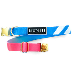 Coral Wave - Buckle Collar collar Best Life Leashes | The Symbol For Rescue Dogs 