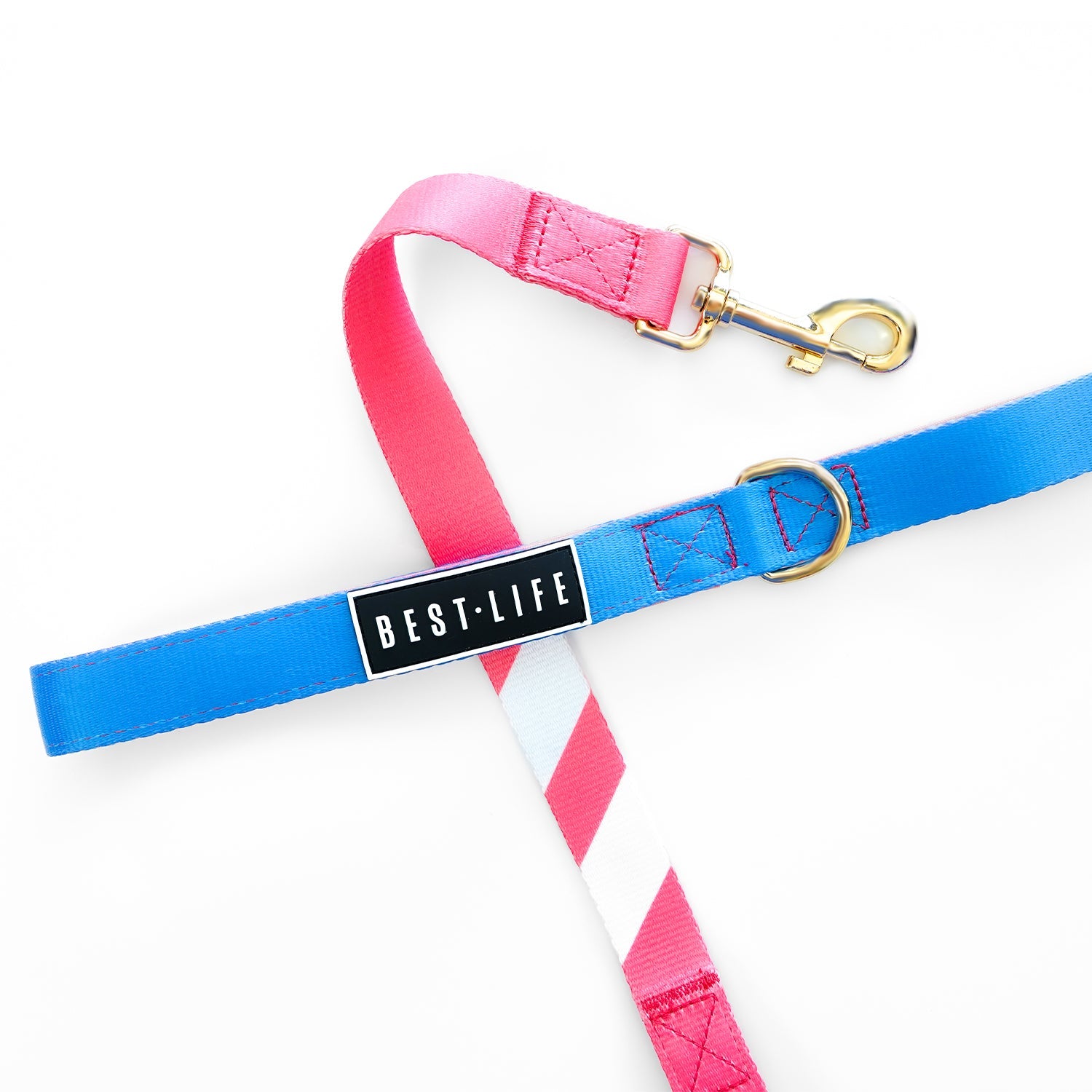 Coral Wave - Companion Leash 6ft leash Best Life Leashes | The Symbol For Rescue Dogs 