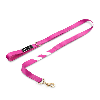 Perfect Pink - Companion Leash 4ft leash bestlifeleashes 