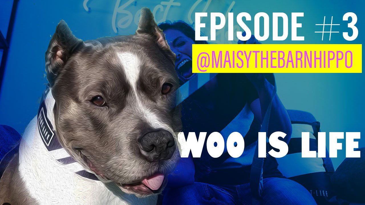 Episode 3: Living w/ Multiple Species and Unethical Breeding