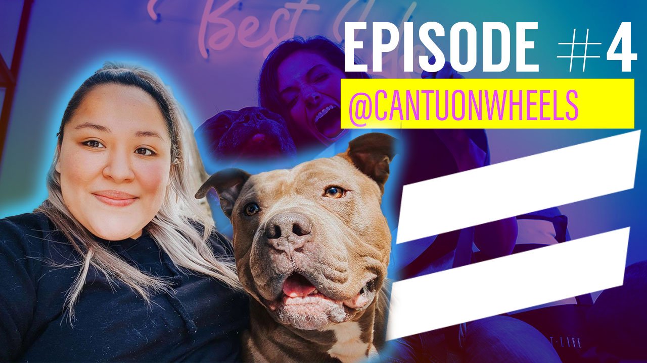 Episode 4: Should you foster before adopting & Starting a non-profit