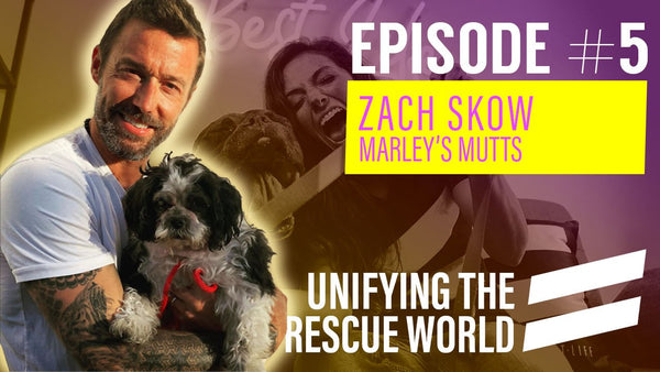 Episode 5: Rescue Innovators & Why Shelters and Rescues Need Each Other