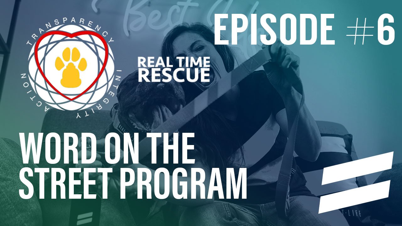 Episode 6: Real Time Rescue's Word On The Street Program