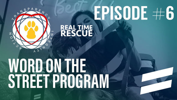 Episode 6: Real Time Rescue's Word On The Street Program
