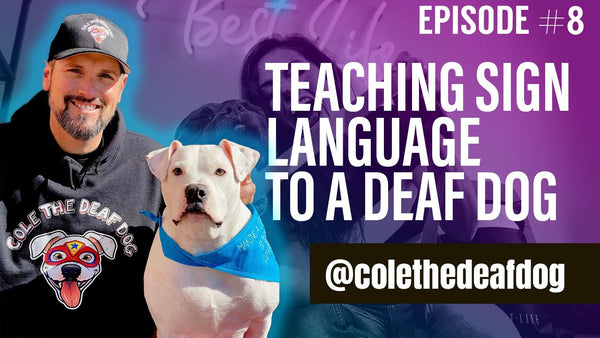 Episode 8: Teaching sign language to a deaf dog