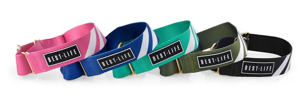The Best Life Martingale Collar: What, Why, & How?