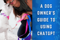 The Ultimate Guide to Using ChatGPT for Dog Owners
