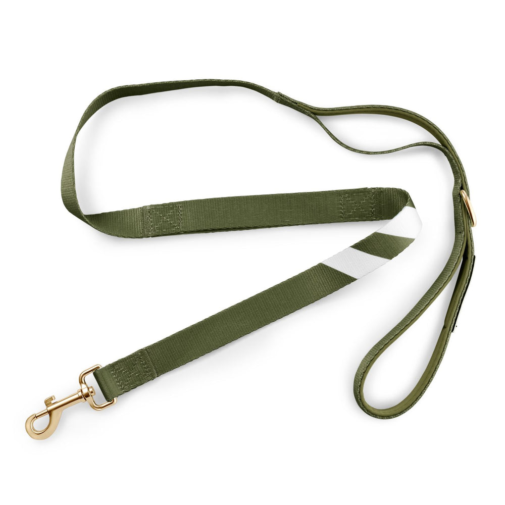 Awesome Olive - City Walker Leash leash bestlifeleashes 