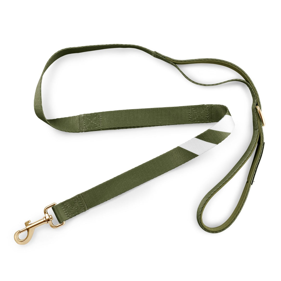 Awesome Olive - City Walker Leash leash bestlifeleashes 