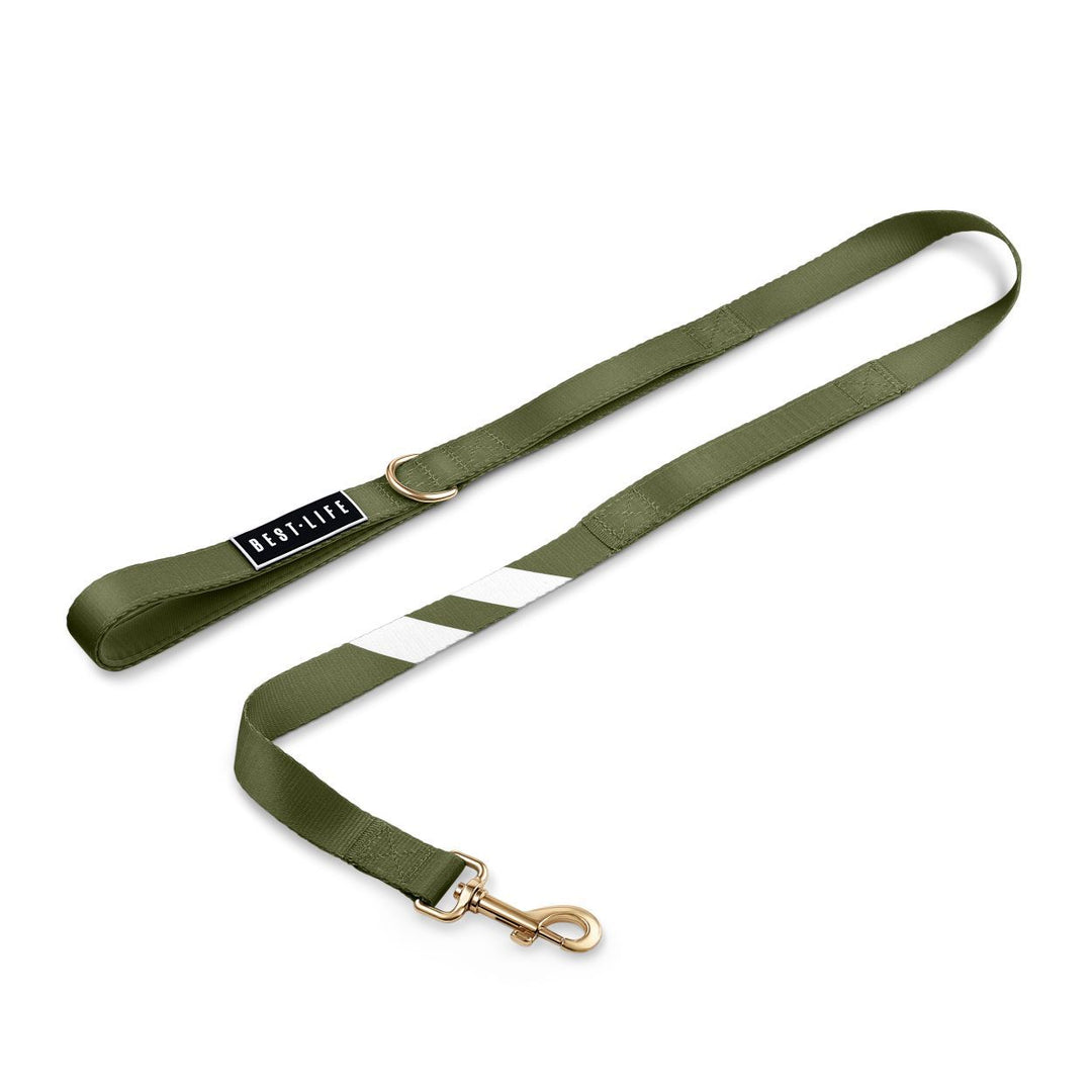 Awesome Olive - City Walker Leash leash bestlifeleashes 
