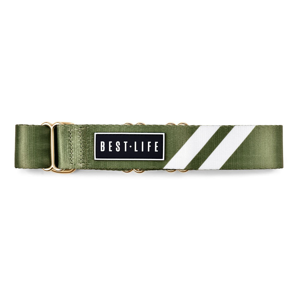 Awesome Olive - Martingale Collar collar bestlifeleashes 