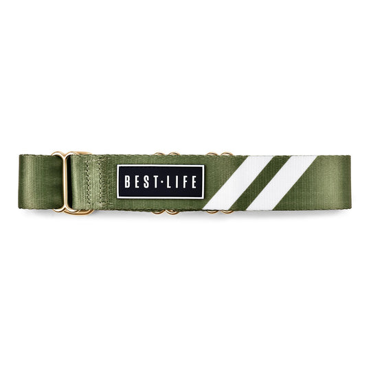 Awesome Olive - Martingale Collar collar bestlifeleashes 