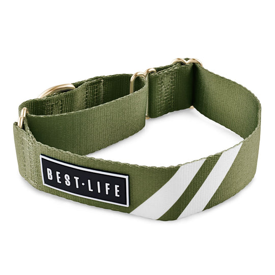 Awesome Olive - Martingale Collar collar bestlifeleashes Small 11"-15" 