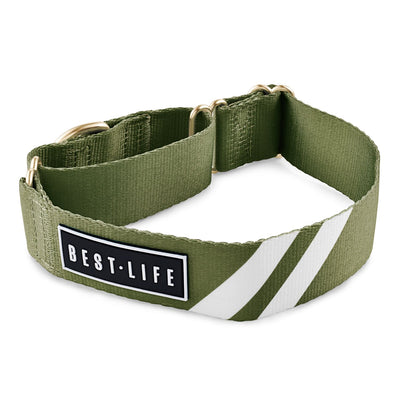 Awesome Olive - Martingale Collar collar bestlifeleashes Small 11"-15" 