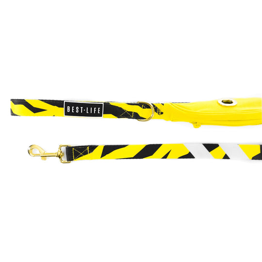 B.E.E. (Big Envy Energy) - Cargo Leash 5ft leash Best Life Leashes | The Leash For Rescue Dogs 