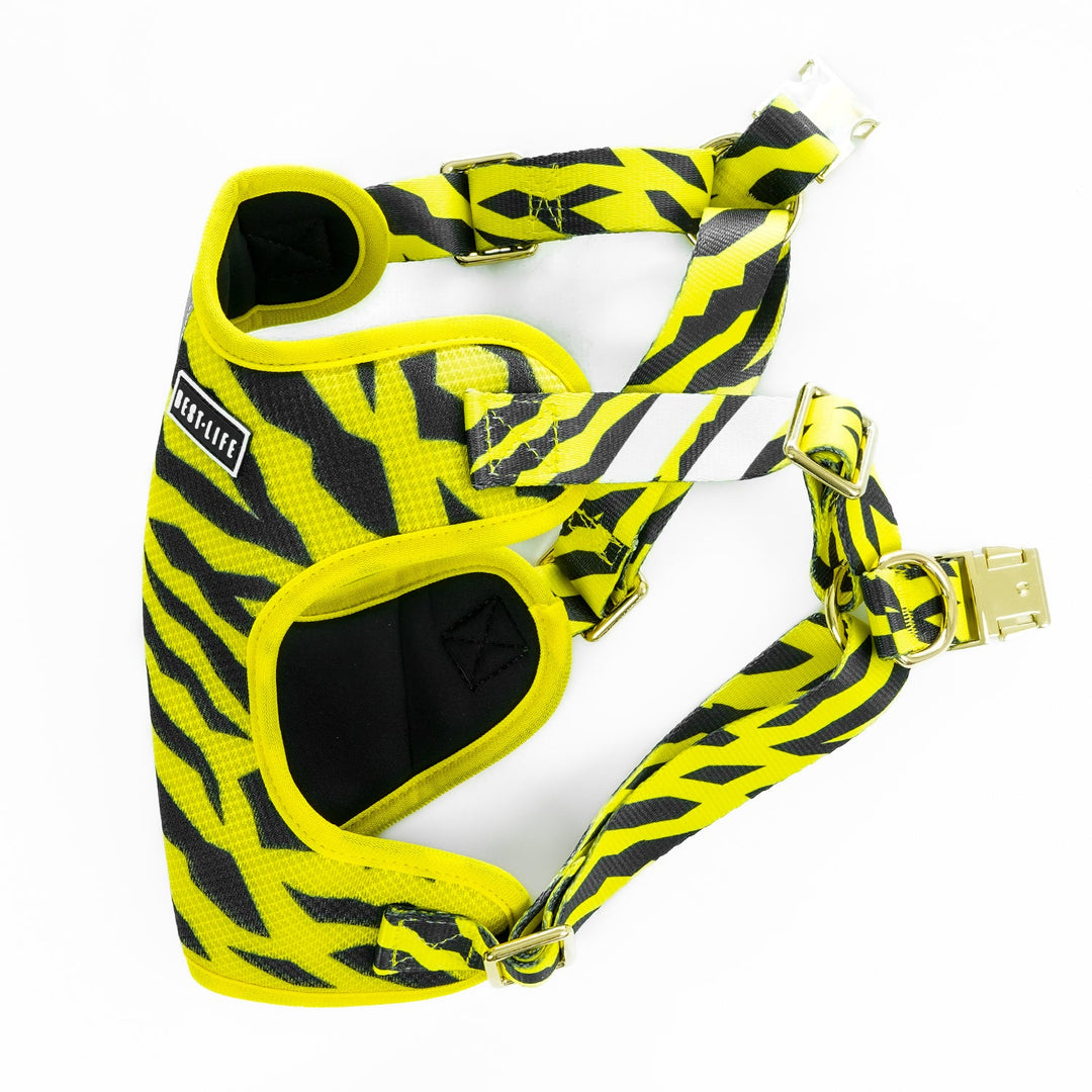 B.E.E. (Big Envy Energy) - Comfort Harness Pet Collars & Harnesses Best Life Leashes | The Symbol For Rescue Dogs 