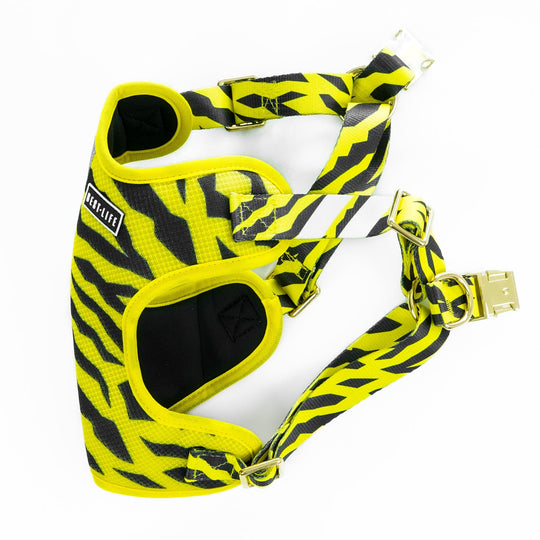 B.E.E. (Big Envy Energy) - Comfort Harness Pet Collars & Harnesses Best Life Leashes | The Symbol For Rescue Dogs 