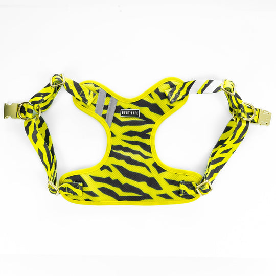 B.E.E. (Big Envy Energy) - Comfort Harness Pet Collars & Harnesses Best Life Leashes | The Symbol For Rescue Dogs 