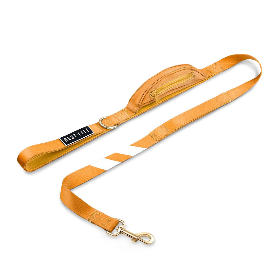 Cali Tangerine - Cargo Leash leash bestlifeleashes 