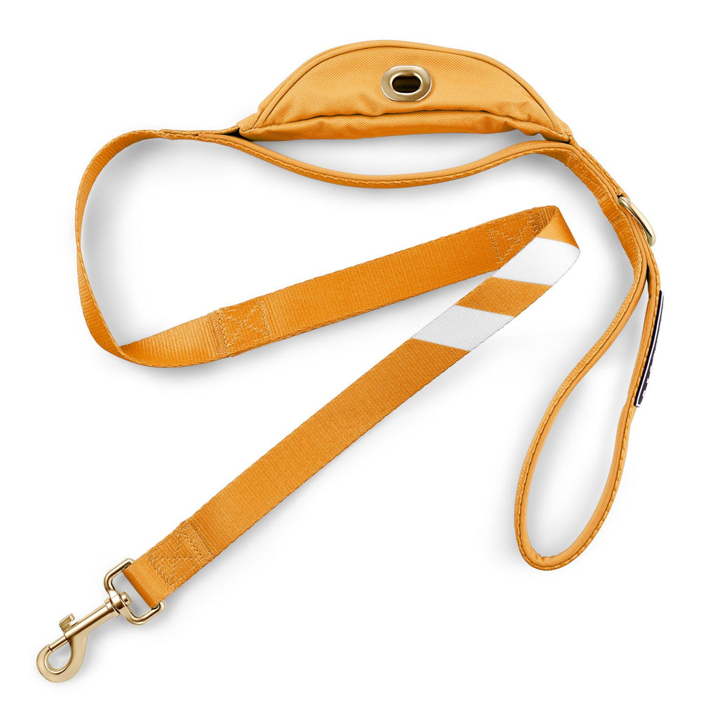 Cali Tangerine - Cargo Leash leash bestlifeleashes 