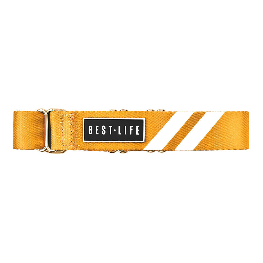 Cali Tangerine - Martingale Collar collar bestlifeleashes 