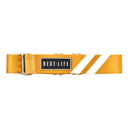 Cali Tangerine - Martingale Collar collar bestlifeleashes 