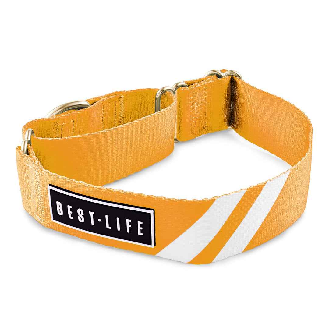 Cali Tangerine - Martingale Collar collar bestlifeleashes 