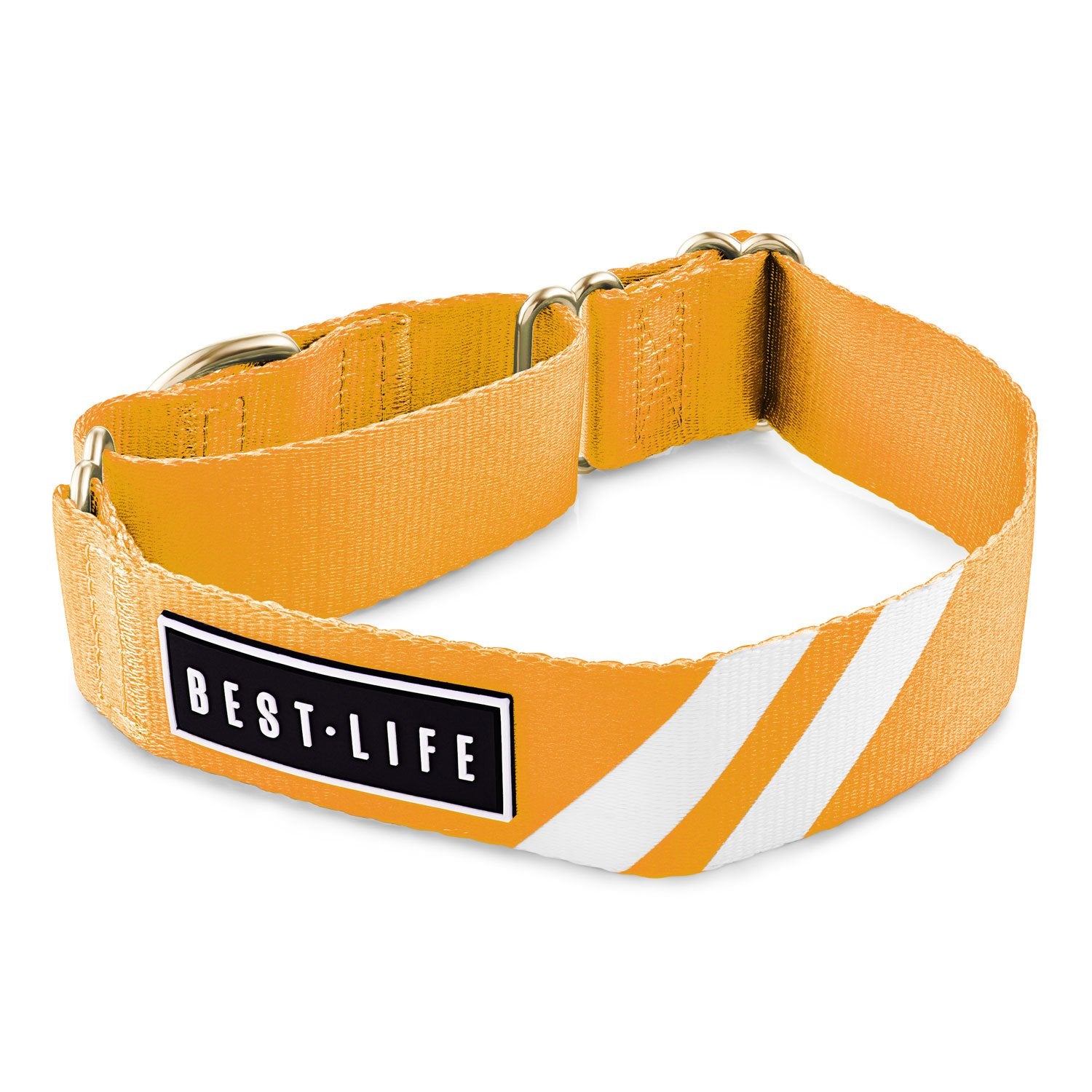 Cali Tangerine - Martingale Collar collar bestlifeleashes 