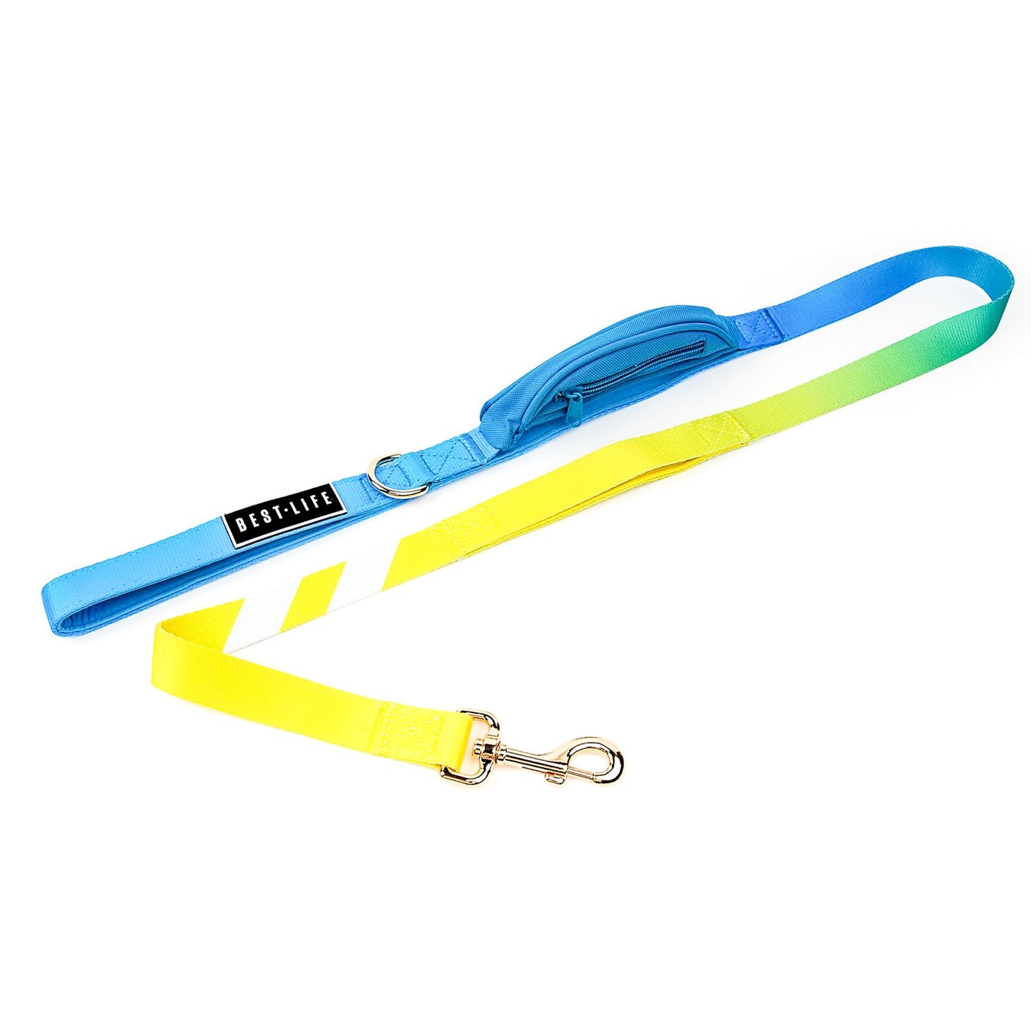 Caribbean Wave - Cargo Leash 5ft leash Best Life Leashes | The Symbol For Rescue Dogs 