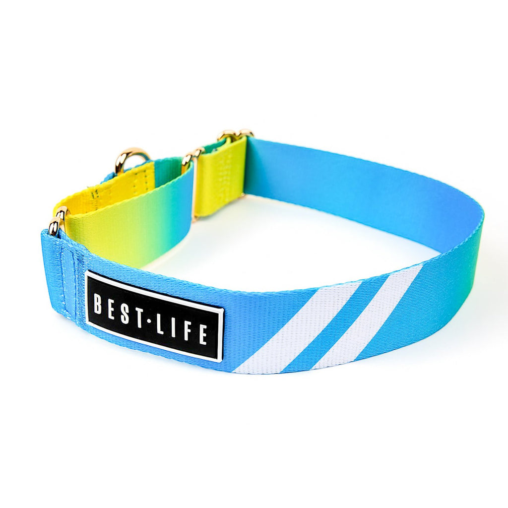 Caribbean Wave - Martingale Collar collar Best Life Leashes | The Symbol For Rescue Dogs 