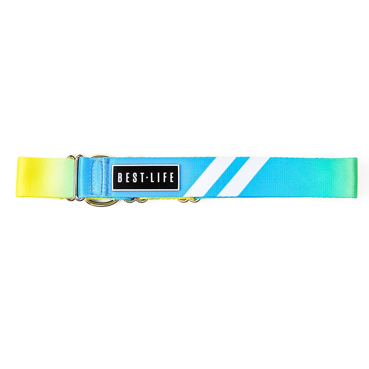 Caribbean Wave - Martingale Collar collar Best Life Leashes | The Symbol For Rescue Dogs 