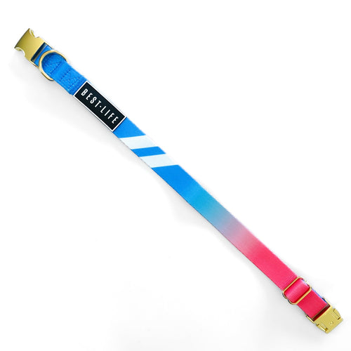 Coral Wave - Buckle Collar collar Best Life Leashes | The Symbol For Rescue Dogs 