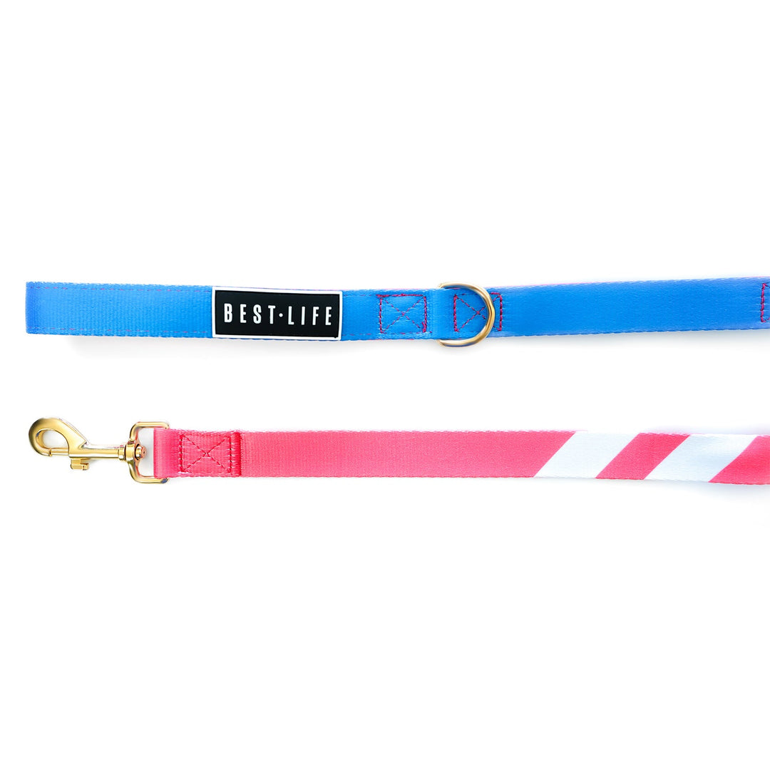 Coral Wave - Companion Leash 6ft leash Best Life Leashes | The Symbol For Rescue Dogs 