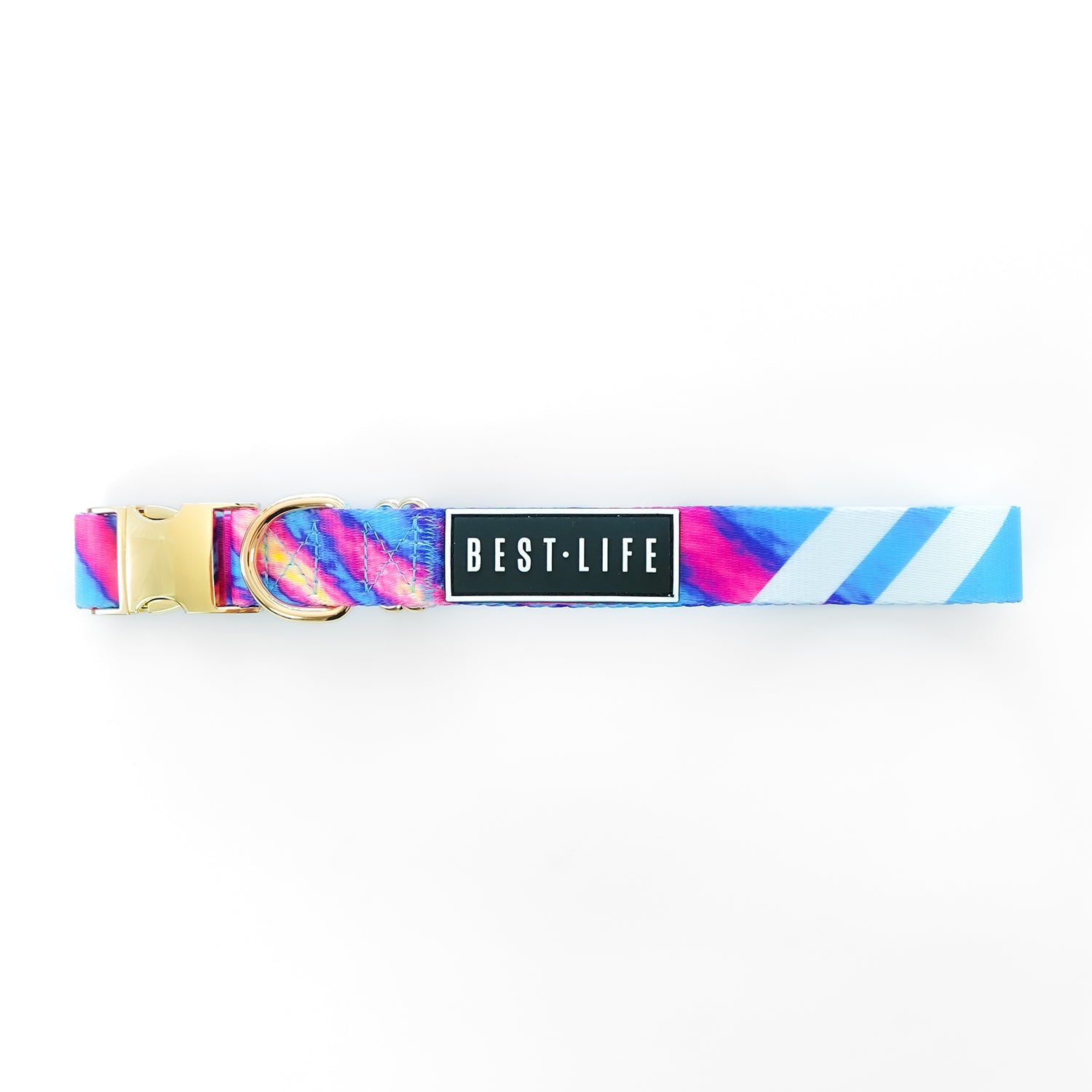 Euphoria Crave - Buckle Collar collar Best Life Leashes | The Symbol For Rescue Dogs 