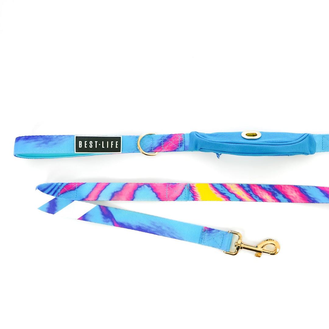 Euphoria Crave - Cargo Leash 5ft leash Best Life Leashes | The Leash For Rescue Dogs 