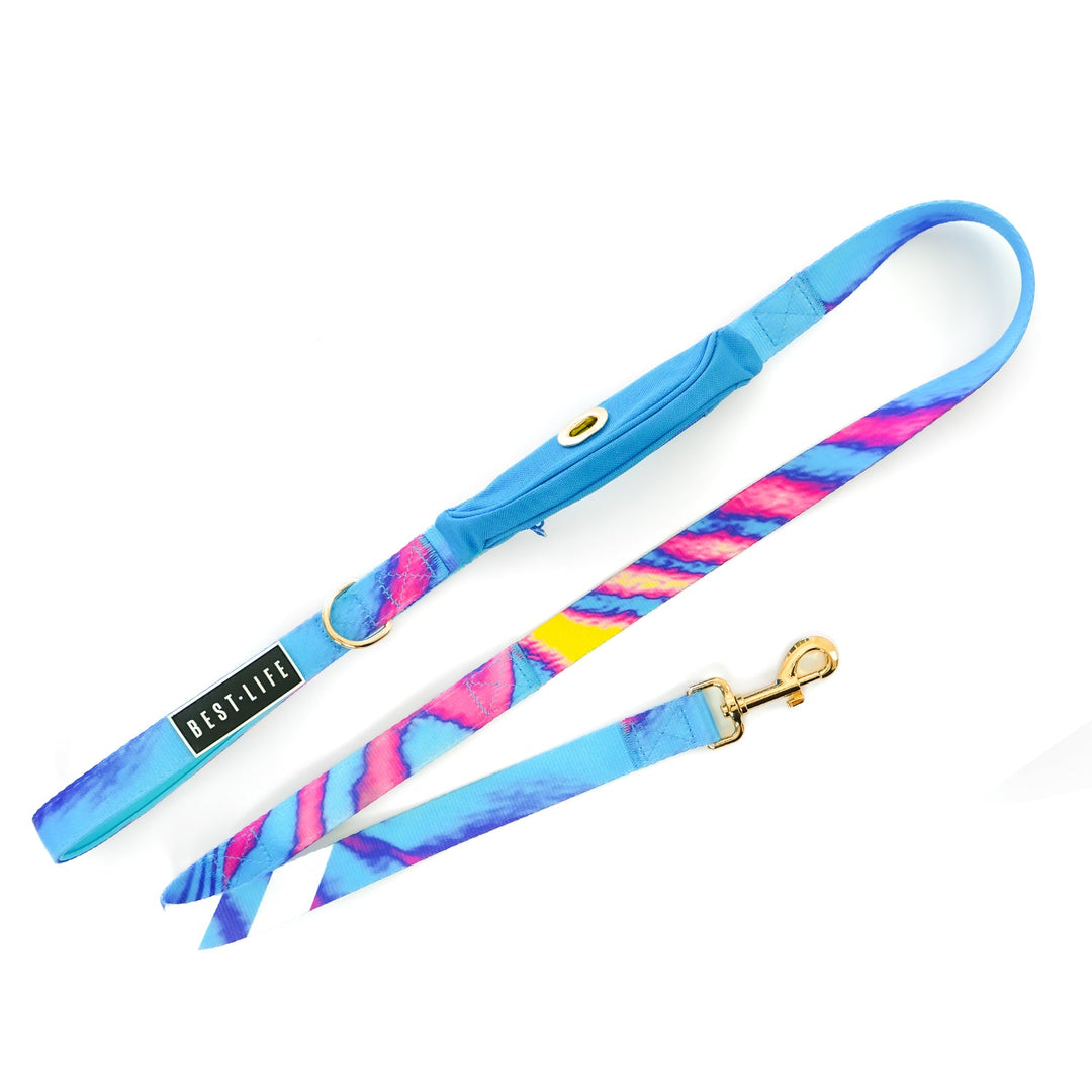 Euphoria Crave - Cargo Leash 5ft leash Best Life Leashes | The Leash For Rescue Dogs 