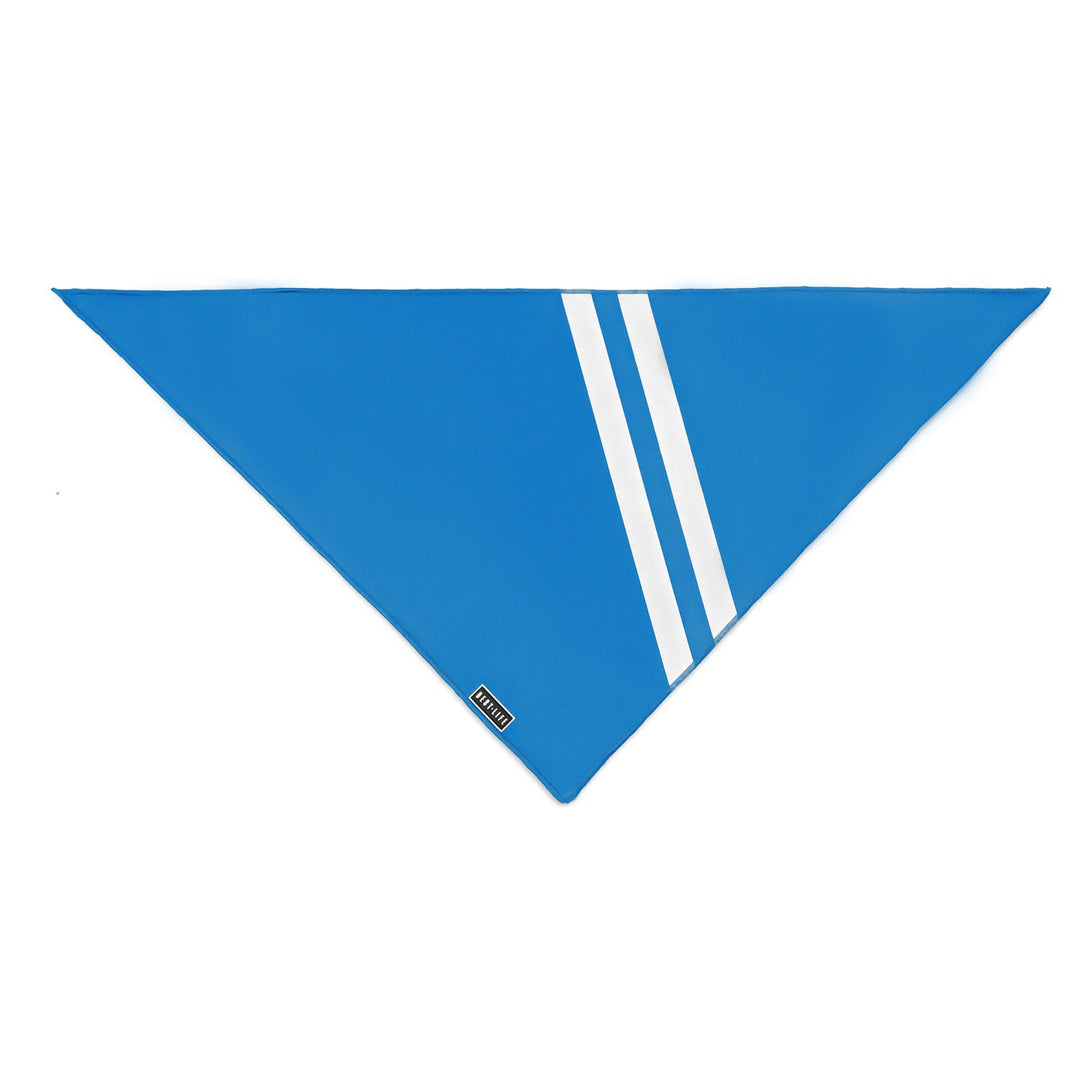 Loyal Blue - Bandana bandana Best Life Leashes | The Leash For Rescue Dogs 