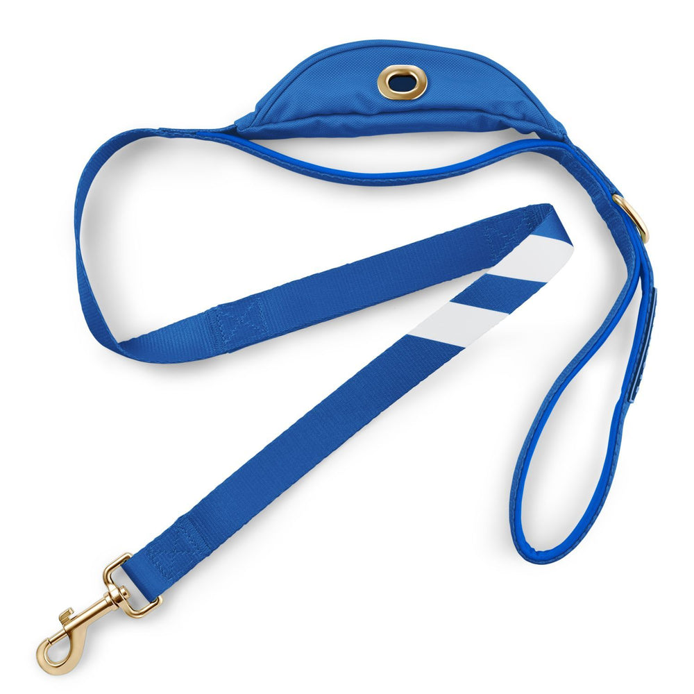 Loyal Blue - Cargo Leash leash bestlifeleashes 