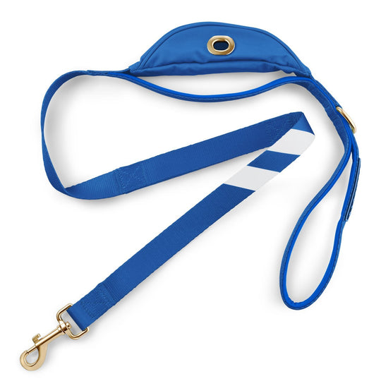 Loyal Blue - Cargo Leash leash bestlifeleashes 
