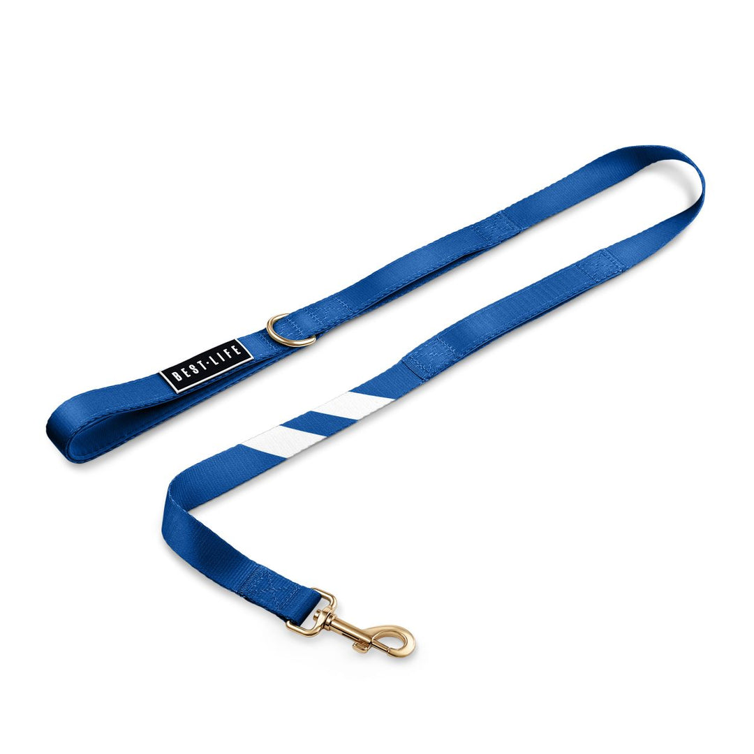 Loyal Blue - City Walker Leash leash bestlifeleashes 