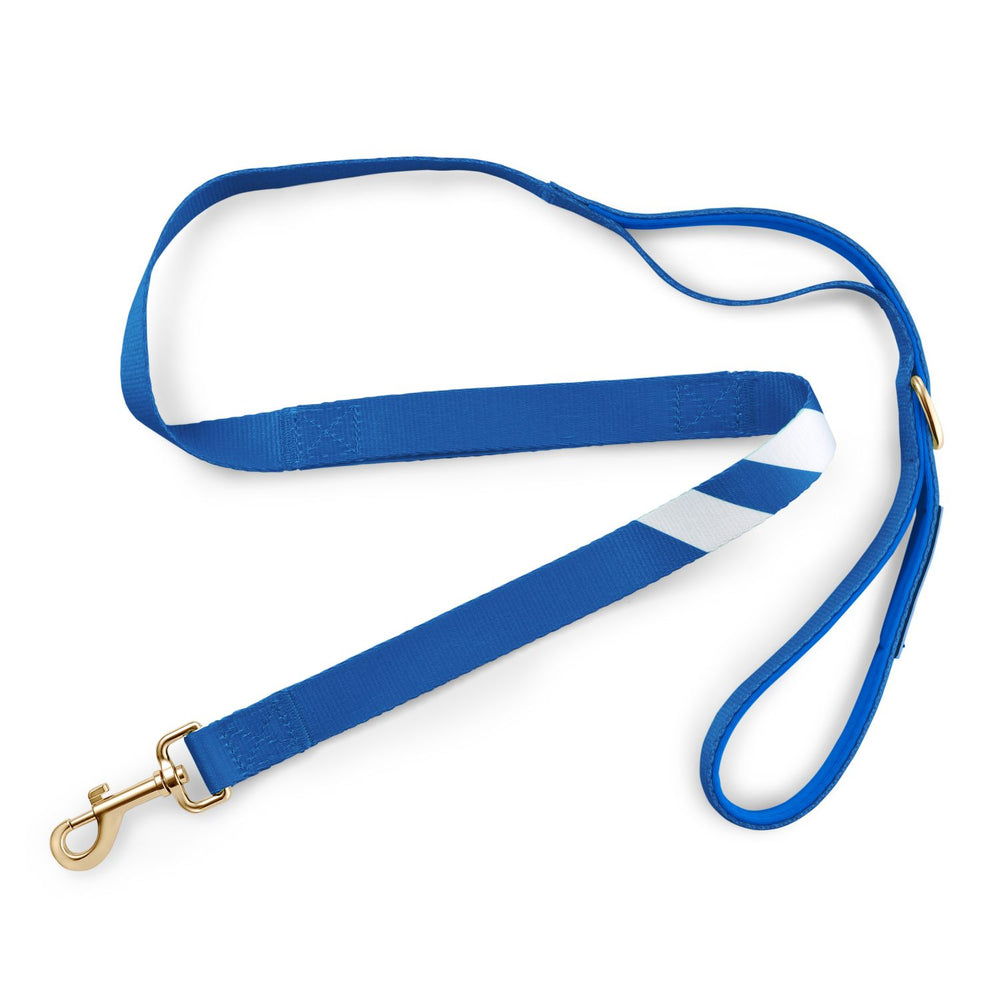 Loyal Blue - City Walker Leash leash bestlifeleashes 