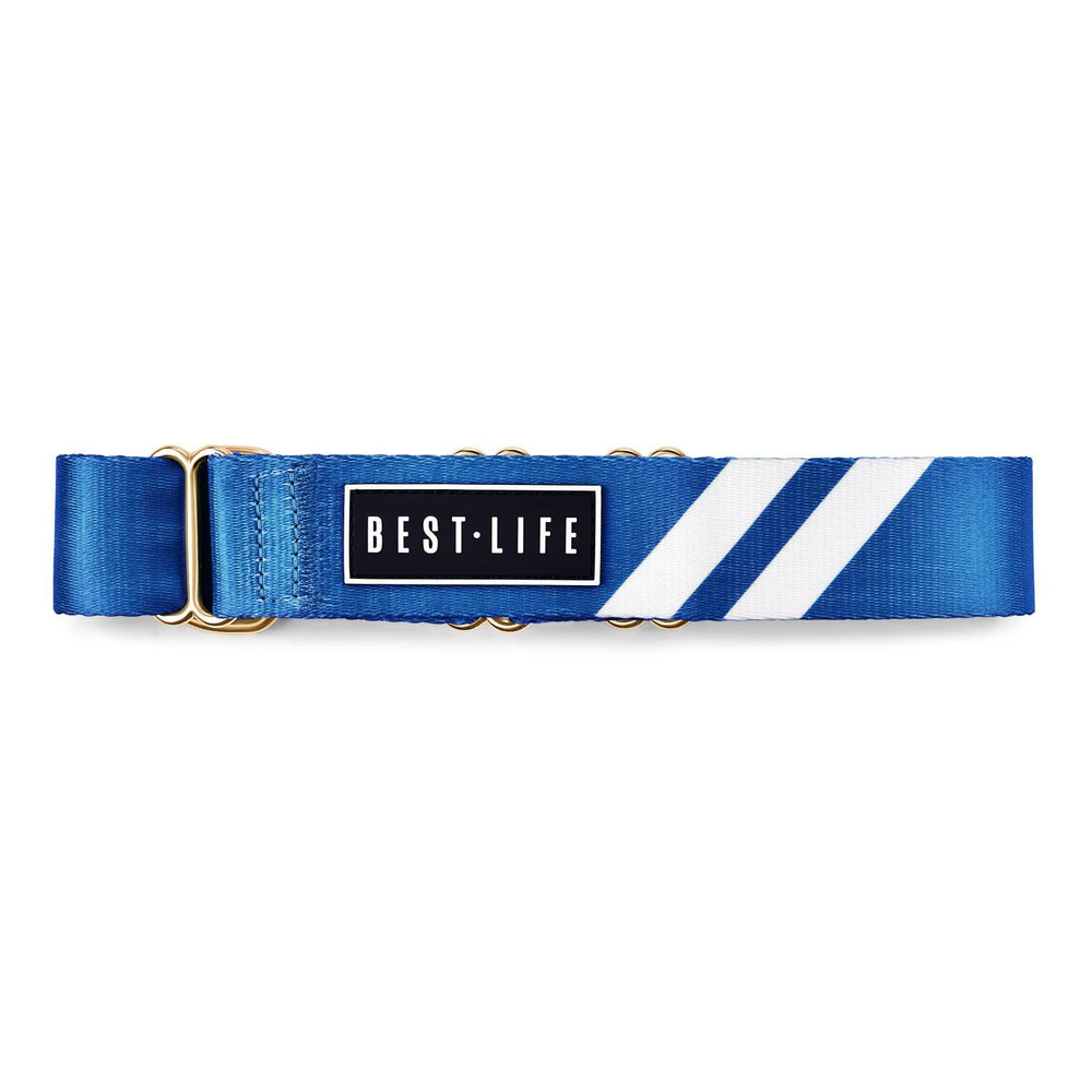 Loyal Blue - Martingale Collar collar bestlifeleashes 