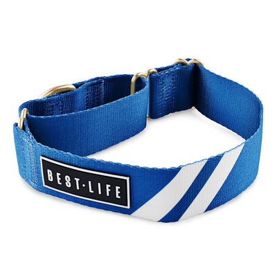 Loyal Blue - Martingale Collar collar bestlifeleashes Small 11"-15" 