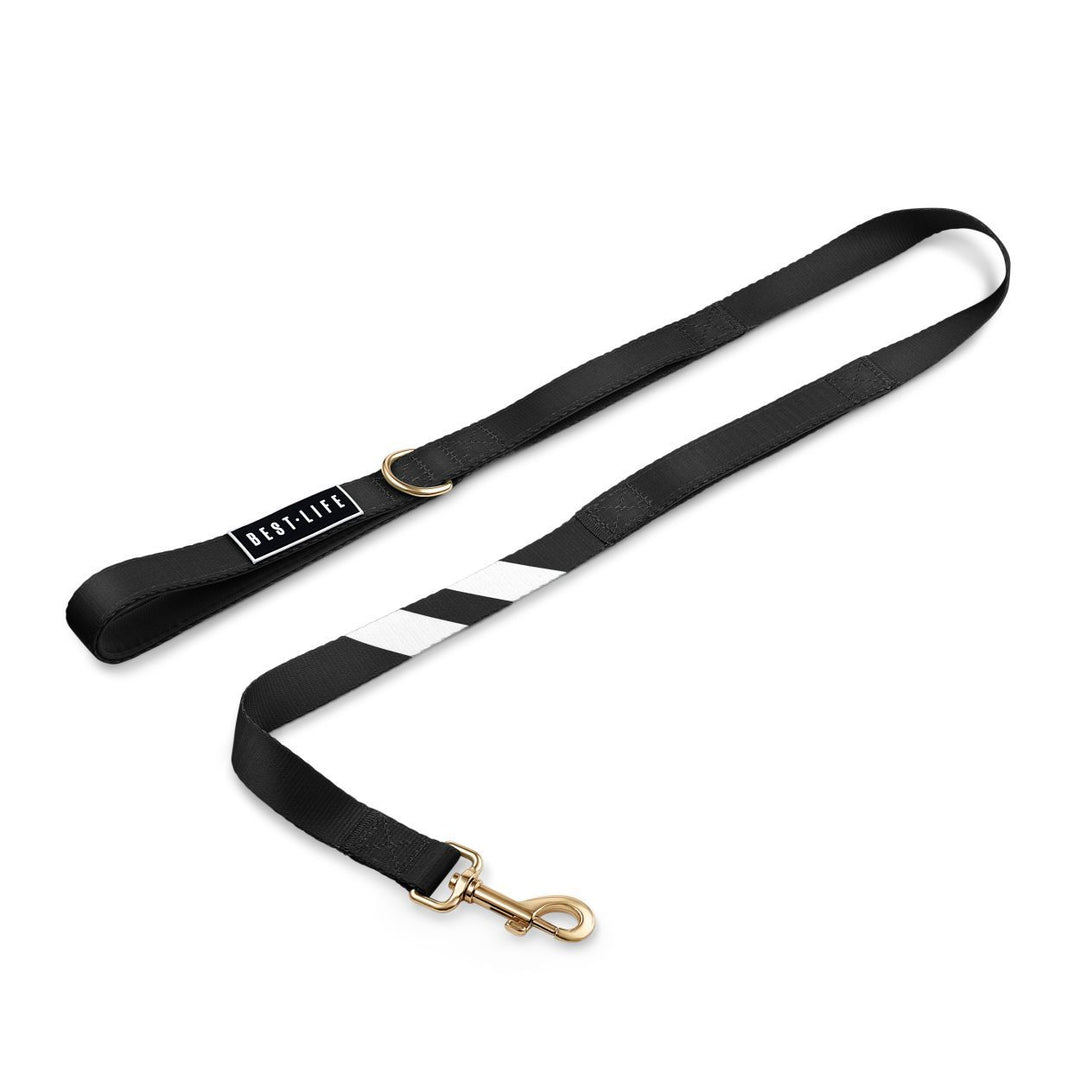 Midnight Black - City Walker Leash leash bestlifeleashes 