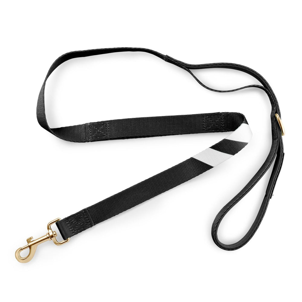 Midnight Black - City Walker Leash leash bestlifeleashes 