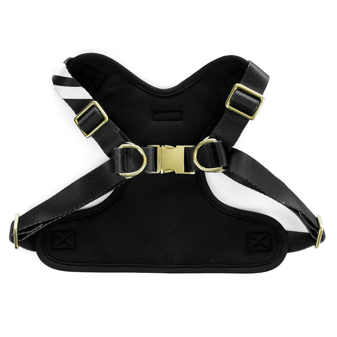 Midnight Black - Comfort Harness Pet Collars & Harnesses Best Life Leashes | The Symbol For Rescue Dogs 