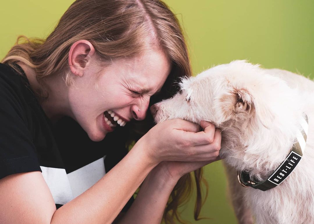 Midnight Black - The Martingale Collar collar bestlifeleashes 