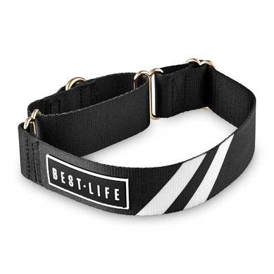 Midnight Black - The Martingale Collar collar bestlifeleashes Small 11"-15" 
